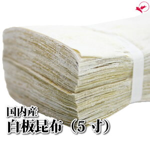 zi5/6.5cm×19cmjm100n