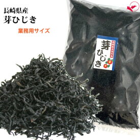 業務用 芽ひじき（500g/1kg/5kg）【長崎県産】[乾燥ひじき スープ 海藻サラダ 煮物 炊き込みご飯 和食 日本料理 お得用]