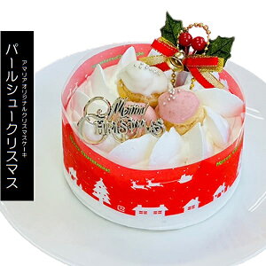 2025 ʌ NX}XP[L p[V[NX}X 4TCY 2`4lp ʌ N[  p[eB[ Cxg mَq aP[L