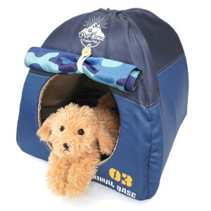 ybgnEX Lveg^ lCr[ ^ L ybgp xbh ~p g h[^  CX^f TandS