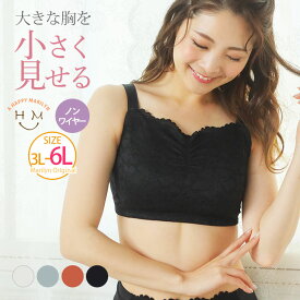 【送料無料★】 ブラジャー 大きいサイズ 下着 | 大きな胸 を 小さく見せる デイリー レース コンパクトブラ _ オリジナル インナー ブラ LL 3L 4L 5L 6L 春 春物 春服 夏 夏物 夏服 ぽっちゃり ゆったり かわいい おしゃれ カジュアル [479004] 【下着】