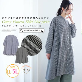 【4h限定全品15％オフクーポン】 大きいサイズレディース ワンピース | クレイジーパターン切替え Aラインワンピース _ ワンピ デザインワンピ LL 3L 4L 5L 春 春物 春服 ぽっちゃり ゆったり かわいい カジュアル ナチュラル プラスサイズ ギンガム ストライプ [83168690]