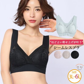 【送料無料★】ブラジャー 大きいサイズ下着 | ホックなしで ノンストレス ヘムブラジャー _ ブラ LL 3L 4L 5L 6L 冬 冬物 冬服 ぽっちゃり ゆったり 脇高 楽 痛くない ブラ 背中スッキリ ノンワイヤー ランジェリー カジュアル プラスサイズ [HM-02] 【下着】