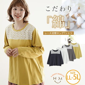 【限定!全品P5倍6/6 13:59まで】 大きいサイズレディース トップス | 【ロングRun-Tシャツ】レース切替 T-シャツ _ Tシャツ カットソー LL 3L 4L 5L 秋 秋物 秋冬 ぽっちゃり ゆったり ロングシーズン プルオーバー レース カジュアル ナチュラル プラスサイズ [658029]