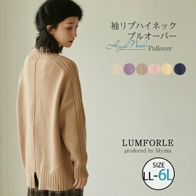 【限定!全品P5倍5/26 13:59まで】 大きいサイズレディース トップス | 【LUMFORLE　produced by My:nia】袖リブ ハイネック プルオーバー _ カットソー LL 3L 4L 5L 6L 秋 秋物 秋服 冬 冬物 冬服 ぽっちゃり ゆったり カジュアル ナチュラル プラスサイズ [171 525215]