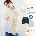 大きいサイズレディース アンサンブル | 細ボーダー ニット アンサンブル _ トップス 2点セット LL 3L 4L 春 春物 春服 ぽっちゃり ゆったり シンプル コーデセット スプリングニット 春ニット かわいい おしゃれ カジュアル ナチュラル プラスサイズ [5141069]