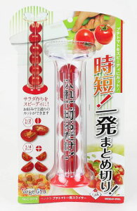 xWN v`g}gꔭXCT[ C-9119 p[