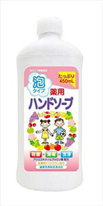 pnh\[v t[c l֗p{g 450ml PbgΌ lߑւ l