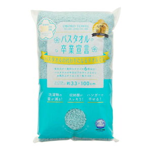 oX^IƐ錾 { ANAu[ 33×100cm {^I tFCX^I wAhC ^I z ̖ ₷