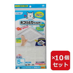 zRƂtB^[ Cp 30cm 5 CtB^[ y×10Zbgz