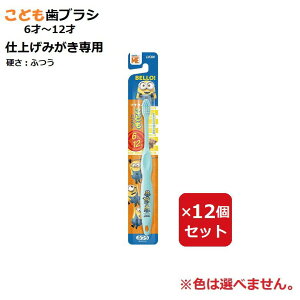 uV CI q LbY ǂnuV 6`12˗p ~jI y×12Zbgz F܂ Fws