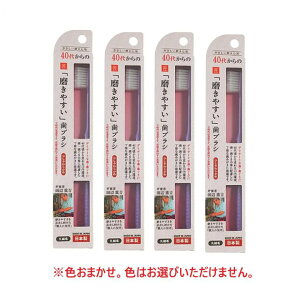 ySS10%OFFzuV LT57 40ォ̖₷uV 炩 _炩߁@F͂Iт܂@Fws y×4Zbgz