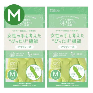veB[l MTCY O[ 琶܂ꂽ veB[l M 9728  S y×2Zbgz