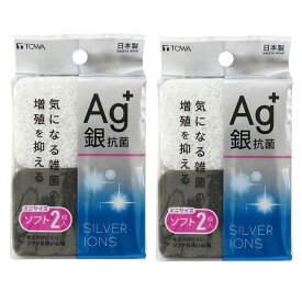 スポンジ 銀 抗菌 Ag+抗菌 キッチンクリーナー ミニ 2個入 モノトーン 【×2個セット】 キッチンスポンジ 食器用スポンジ 食器洗いスポンジ 台所スポンジ
