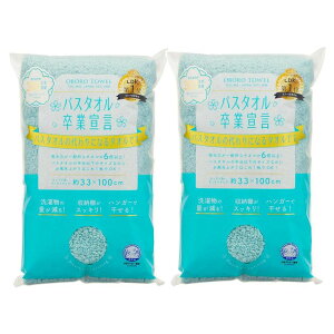 oX^IƐ錾 { ANAu[ 33×100cm {^I tFCX^I wAhC ^I z ̖ ₷ y×2Zbgz