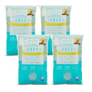 oX^IƐ錾 { ANAu[ 33×100cm {^I tFCX^I wAhC ^I z ̖ ₷ y×4Zbgz