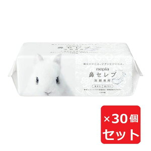 lsA @Zu p tFCV^I V[g 240(120g) p  ێ XNz G{XH usgp y×30Zbgz