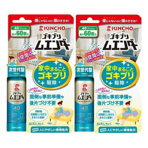 SLu G_[ ƒ܂邲 쏜 40vbV ő60  ԕ vbV SLu쏜 Ԃ y×2Zbgz