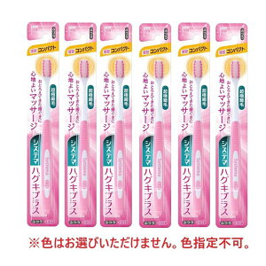 uV VXe} nOLvXnuV uV RpNg ӂ y×6Zbgz