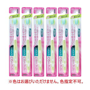 uV VXe} nOLvXnuV uV RpNg ӂ y×6Zbgz