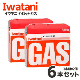 イワタニ カセットガス オレンジ 3本組 【×2個セット】6本 カセットボンベ 【まとめ買い】CB-250-OR 料理 調理 アウトドア キャンプ バーベキュー ガスコンロ ガスボンベ キッチン コンロ BBQ 防災 備蓄 停電 台風 ローリングストック 卓上コンロ