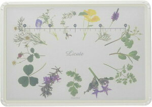 p[ y ɂ ܂Ȕ XC[gn[u H@Ή Licute { C-1236