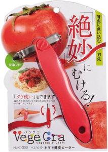 xWN g}g  s[[ 03005@C-300 p[