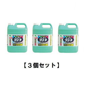 【まとめ買い】ミツエイ スマイルチョイス キッチンブリーチ 業務用 5kg 【×3個セット】 漂白剤 除菌 除臭 漂白 ブリーチ 台所 お手入れ まな板 シンク ふきん 調理器具 大容量 水あか 掃除 お得サイズ 水ぶき 便利 家庭 キッチン たっぷり 容量