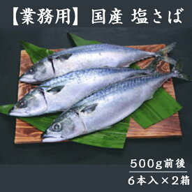 【送料無料】 業務用 国産 塩さば 約500g 12本入 冷凍 青切り 鯖専門店 あまる齋藤商店 焼津 国内産 鯖 塩サバ しめ鯖 鯖寿し