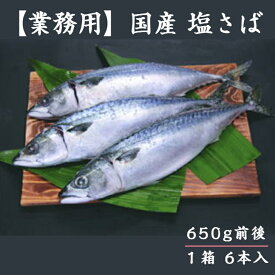 【送料無料】 業務用 国産 塩さば 約650g 6本入 冷凍 青切り 鯖専門店 あまる齋藤商店 焼津 国内産 鯖 塩サバ しめ鯖 鯖寿し ふるさと納税採用品
