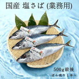 【国産】 塩さば 業務用 約500g ばら売り 1本 真空 青切り 焼津市 ふるさと納税採用品 組合せ商品 鯖専門店 あまる齋藤商店 国内加工 鯖 しめさば 鯖寿し 焼津 塩サバ