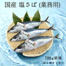 【国産】 塩さば 業務用 約700g ばら売り 1本 真空 青切り 焼津市 ふるさと納税採用品 組合せ商品 鯖専門店 あまる齋藤商店 国内加工 鯖 しめさば 鯖寿し 焼津 塩サバ
