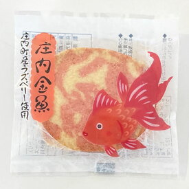 ひまわり園　庄内金魚クッキー　1枚
