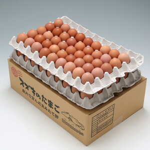 Y@XYL̒n{@5kg(80`90)ysz