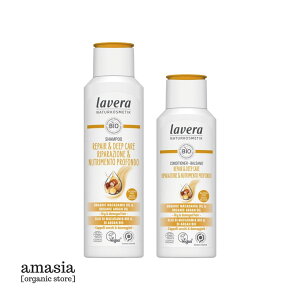 lavera yAfB[v Vv[ &RfBVi[Zbgblavera x[ _[WwA ێ  I[KjbNwAPA q