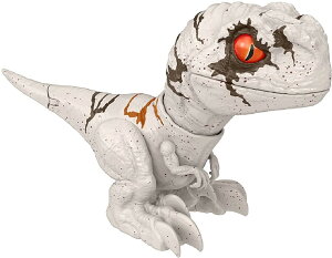 }e WVbN[h VȂxz \! xr[EAgLvg(S[Xg) GWY57