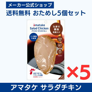 yzY{E T_`L 2000~ |bL A}^P T_`Lނˈꖇ ܂ݖ 5Zbg