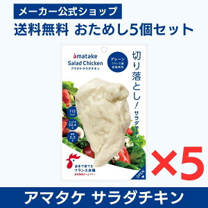 yzY{E T_`L 2000~ |bL A}^P ؂藎ƂT_`L v[ 5Zbg