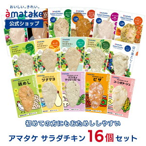 yzA}^P T_`L 16Zbg Y ς { ނ˓ ܂Ƃߔ ς   _CGbg wV[ ᓜ ᎉ { TT~  