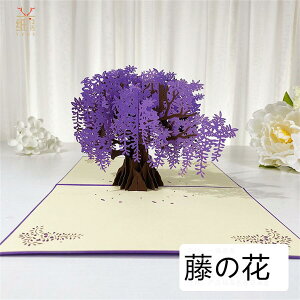 3D̃O[eBOJ[h 2Zbg ԑ|bvAbvJ[h bZ[WJ[h LO a j ̓ ̓ jJ[h ӃJ[h 񂹏 Mtg yz