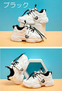 Xj[J[ LbY ̎q j̎q 3color qC LbYV[Y WjA V[Y ^C q jOV[Y y [Jbg w ʊwC LbYXj[J[ X|[c  ^