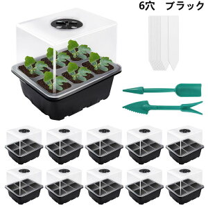 c|bg 10Zbg g[t 12 6 펪|bg Jo[t ʋCQ |pi ƒ؉ ؍͔| c