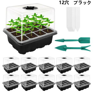 育苗ポット 10個セット トレー付き 12穴 6穴 種蒔きポット 透明カバー付き 通気性抜群 園芸用品 家庭菜園 野菜栽培 育苗箱
