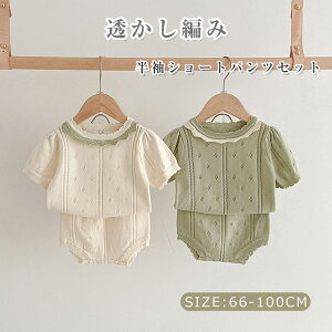 xr[ ZbgAbv ҂  V[gpcZbg xr[ 2_Zbg Ԃ p[X t  H ̎q s[X m K[Y JWA i {Q \ 