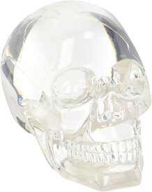 半透明の頭蓋骨の置物 スカルヘッド オブジェ クリアー ポリレジン ドクロ 置物 インテリア オブジェ Clear Translucent Skull Collectible Figurine フィギアコレクション