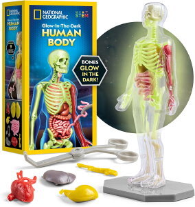 JMW Sales, Inc. National Geographic Society �l�̖͌^�L�b�g�i�ÈłŌ���^�C�v�j�q������ 32�s�[�X �C���^���N�e�B�u��U�w���f���^���E����E�ؓ��t���^�Ȋw�w�K�L�b�g�^��U�w�E�����w���� �i�V��