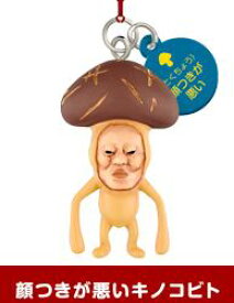 楽天市場 こびとづかん キノコの通販