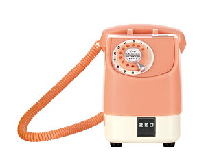 ʔG݁wNTT{ NTT{ OdbK`RNV ԊOҁxsN̓dbԎws̏ił@ڂ͏iɂ