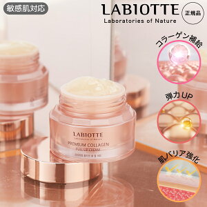 rIbe XLPAZbg R[Q⋋ e̓Abv n c h{⋋  ێ oA ϐ et t N[ AQt[ AQsgp q Rt RtZ