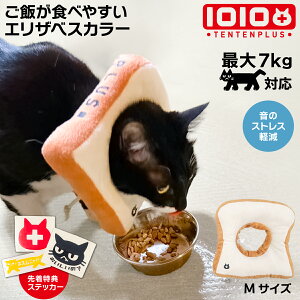 GUxXJ[ Hp^ L  ybg _炩 H₷ ɂȂ 1010+ TENTENPLUS p  D rߖh~ O[~O ی y lR   bN